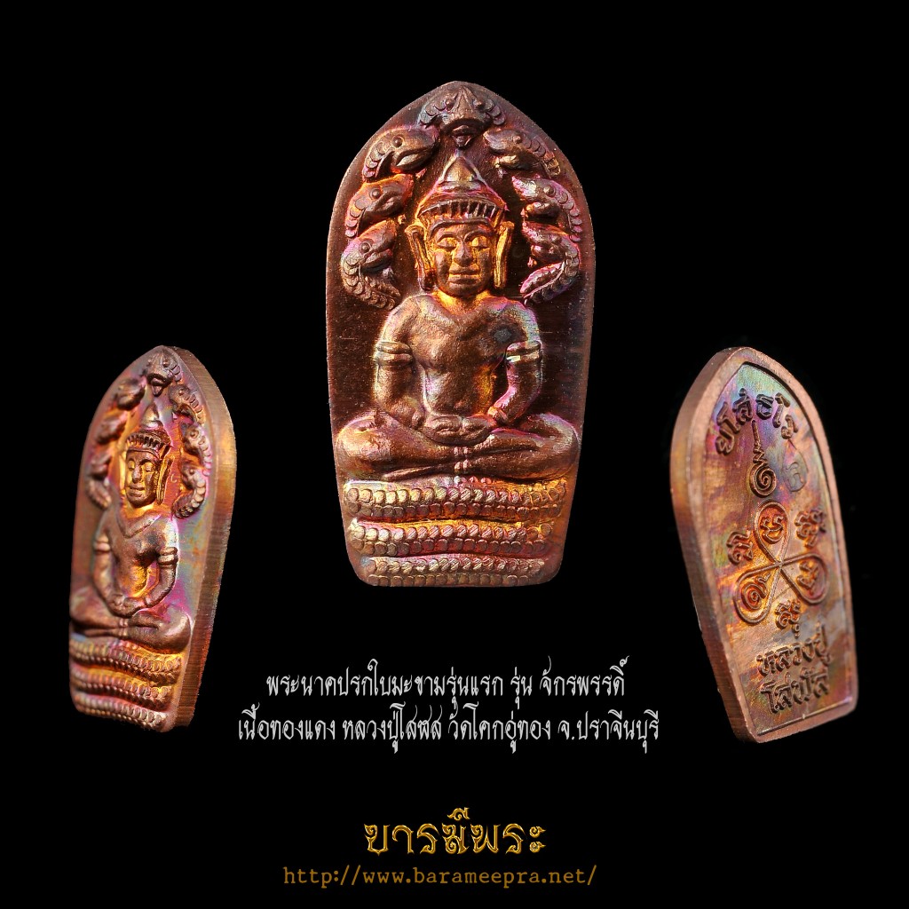 พระนาคปรกใบมะขามรุ่นแรก รุ่น จักรพรรดิ์ เนื้อทองแดง หลวงปู่โสฬส วัดโคกอู่ทอง จ.ปราจีนบุรี กล่องเดิม