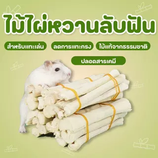 [ลดการกัดกรง] ของเล่นสำหรับลับฟัน ของเล่นติดกรง เพื่อสุขภาพฟันที่ดีของแฮมสเตอร์และสัตว์ฟันแทะทุกชนิด