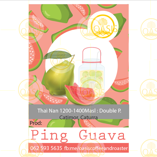 Oasis Coffee&Roaster Pink Guava