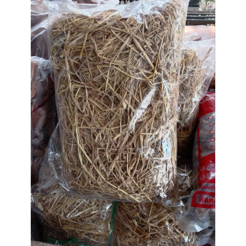 ฟางข้าว ฟางแห้งใช้คลุมดิน ปลูกเห็ด ให้ไก่นอน