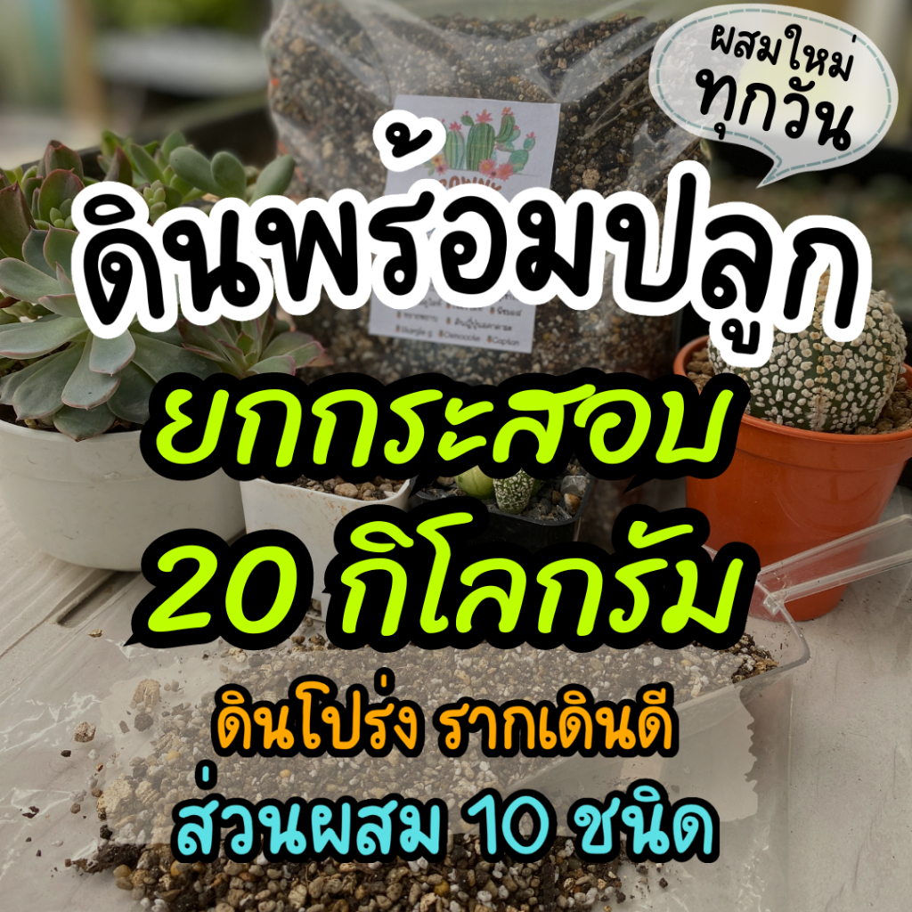 (กระสอบ 20 กิโล) ดินผสมสำเร็จ ดินพร้อมปลูก แคคตัส ไม้ดอก ไม้ประดับ กุหลาบ สมุนไพร