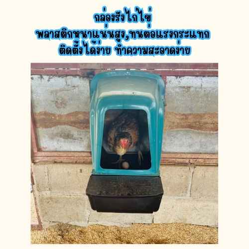 รังไก่ไข่ ทำมาจากพลาสติกความหนาแน่นสูง,ทนต่อแรงกระแทก ติดตั้งได้ง่าย ทำความสะอาดง่าย