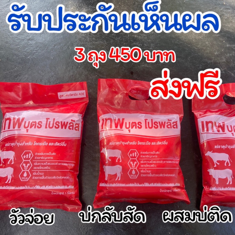 🔥ชุดเห็นผล3ถุง🔥เทพบุตรโปรพลัส