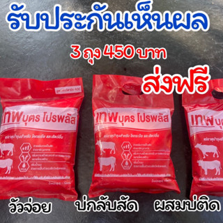 🔥ชุดเห็นผล3ถุง🔥เทพบุตรโปรพลัส