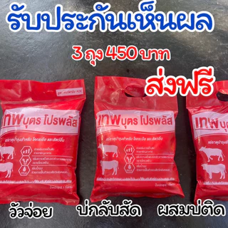 🔥ชุดเห็นผล3ถุง🔥เทพบุตรโปรพลัส