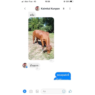 เทพบุตรโปรพลัส1ถุง (1กิโลกรัม)