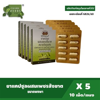 อภัยภูเบศร เพชรสังฆาต ขนาดพกพา บรรจุ 10 แคปซูล / แผง แพ็ค 5 …