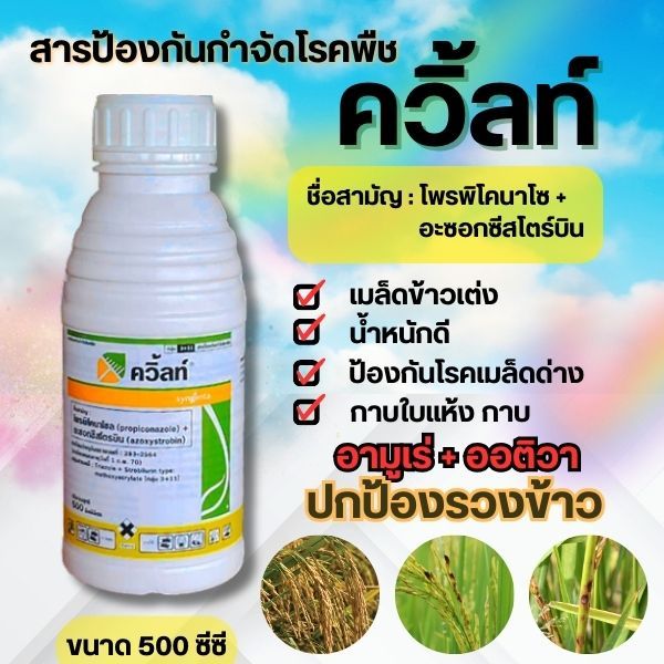 ควิ้ลท์ 500 ml โพรพิโคนาโซล+อะซอกซีสโตรบิน ป้องกันและกำจัดโรคใบไหม้ เมล็ดด่าง กาบใบแห้งในนาข้าว ใบจุดใบไหม้ในผัก