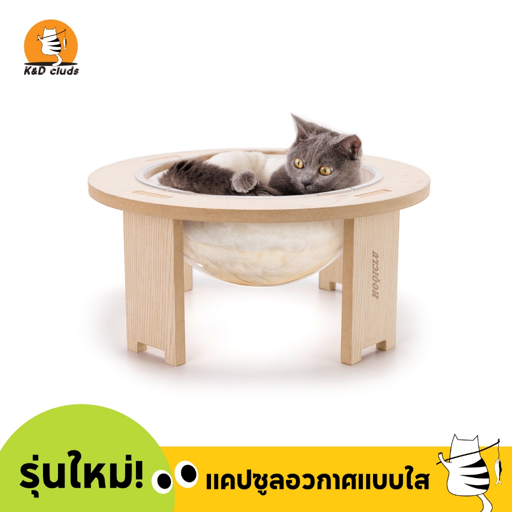 หลุมแมว คอนโดแมว โดมแมว หลุมอวกาศแมว ที่นอนแมวอวกาศ แมว คอนโดแมวอวกาศ พร้อมหลุมใส งานไม้หนา