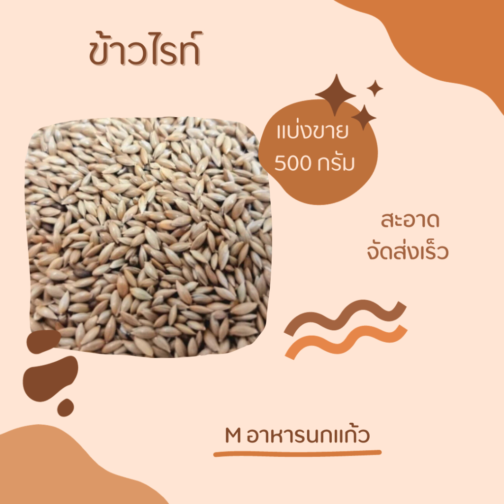 Canary Seed ข้าวไรน์ (500G / 1KG)