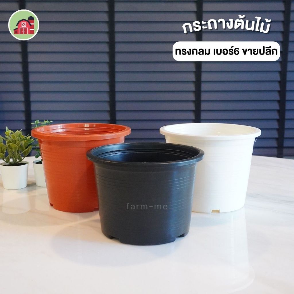 กระถางต้นไม้ ทรงกลมสี เบอร์6 ขายปลีก