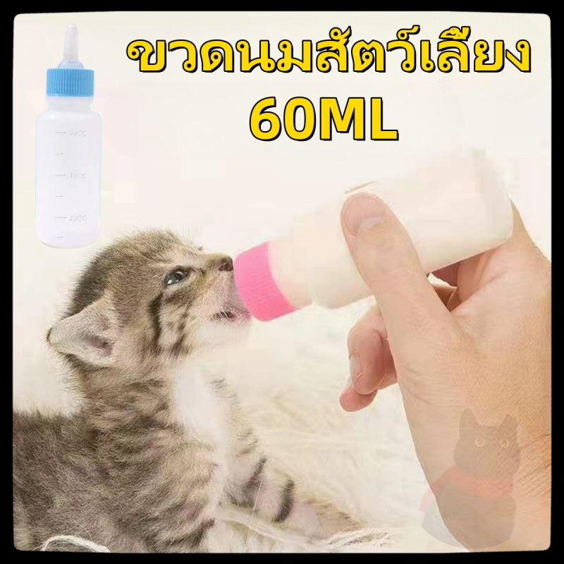 ขวดนม สำหรับ สัตว์เลี้ยง สุนัข หมา ลูกแมว สำหรับป้อน