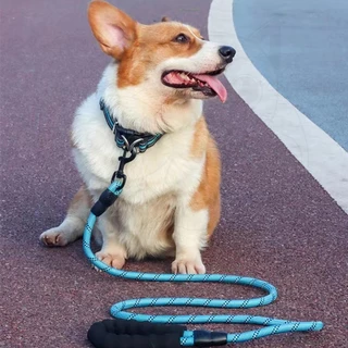 QQPET สายจูงสัตว์เลี้ยง สายจูงสุนัข สายคล้องคอสุนัข พร้อมที่จับ โฟมEVA หลายสี เหมาะสำหรับสุนัขขนาดกลางถึงใหญ่ แข็งแรงทนท