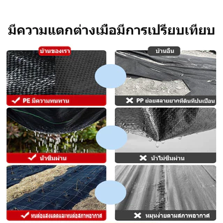ผ้าคลุมดิน(เกรด A) พลาสติกคลุมวัชพืช พราสติกคลุมดิน ผ้าคลุมวัชพืช คลุมวัชพืช น้ำซึมผ่านได้ ป้องกันรังสี UV รับประกัน5ปี