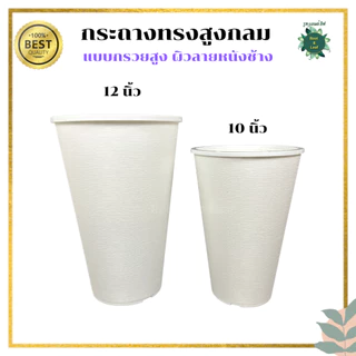 กระถางทรงสูงกลม ลายหนังช้าง แบบกรวย กระถางมินิมอล แต่งบ้าน แต่งคอนโด แต่งคาเฟ่ มีกระถางด้นใน น้ำไม่ไหลรั่วซึม พร้อมส่ง