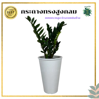 กระถางทรงสูงกลม ลายหนังช้าง แบบกรวย กระถางมินิมอล แต่งบ้าน แต่งคอนโด แต่งคาเฟ่ มีกระถางด้นใน น้ำไม่ไหลรั่วซึม พร้อมส่ง