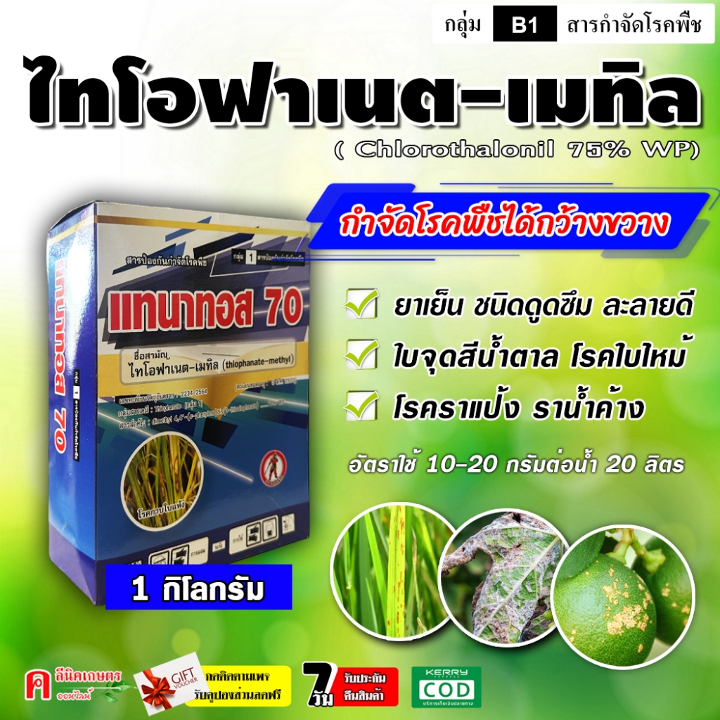 แทนาทอส 70% ไทโอฟาเนต-เมทิล 1 กิโลกรัม สารกำจัดเชื้อรา โรคพืช ใบไหม้ ใบจุด ราน้ำค้าง