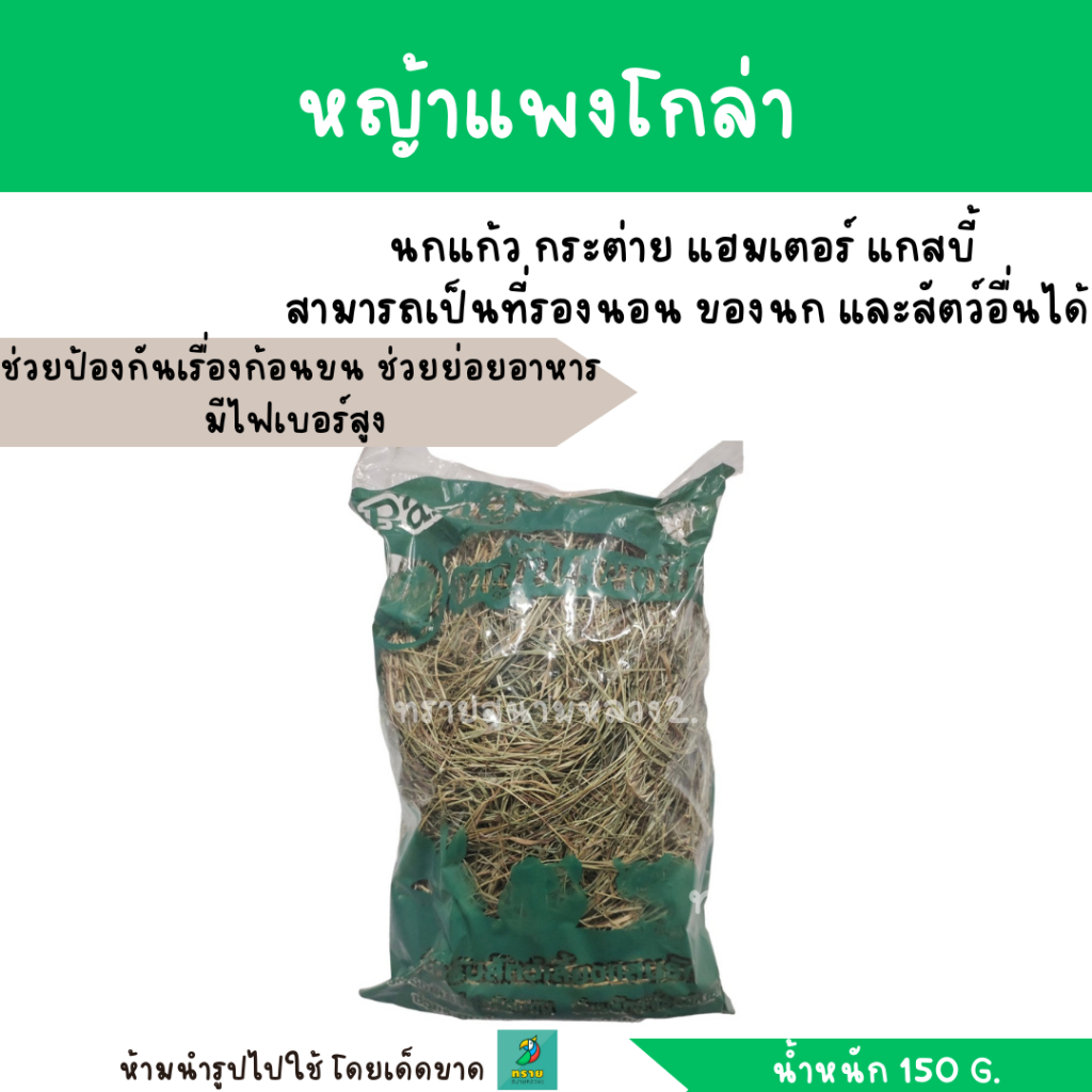 หญ้าแพงโกล่า สำหรับ นกแก้ว กระต่าย แฮมเตอร์ แกสบี้