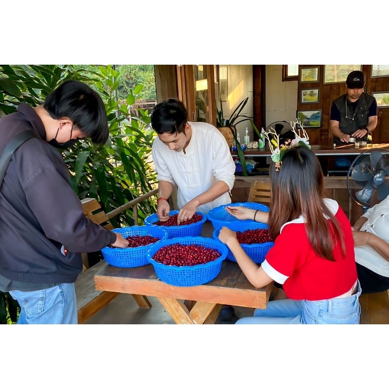 กาแฟดริป Drip Coffee จากร้าน Banaberry cafe รูปที่ 4