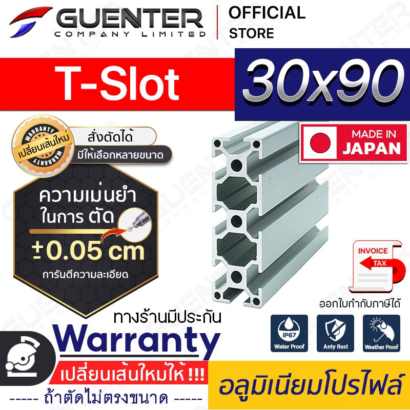 อลูมิเนียมโปรไฟล์ 30×90 T-Slot มีหลายขนาด (สั่งตัดได้ ขนาด cm) ยาวสุด 1 เมตร สินค้ามาตรฐาน ราคาถูกสุ