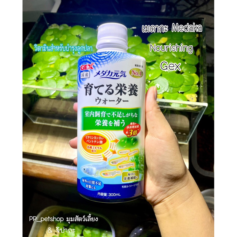 เมดากะ Medaka nourishing วิตามินบำรุงลูกปลา แบ่ง : 20ml. 30 ml. 50ml.