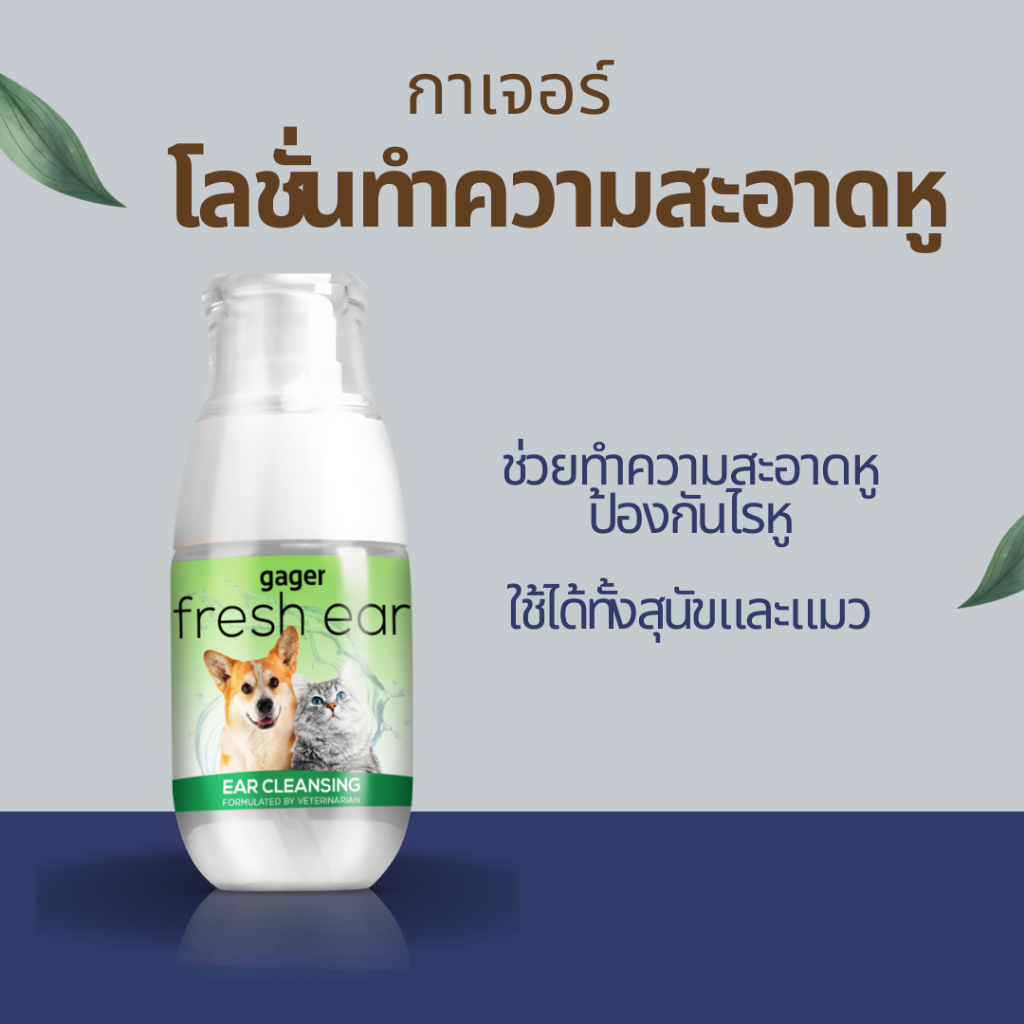 กาเจอร์ Gager โลชั่นเช็ดหูแมว โลชั่นเช็ดหูหมา โลชั่นทำความสะอาดหู ช่วยลดกลิ่น ป้องกันไรหู (มีตัวเลือก)