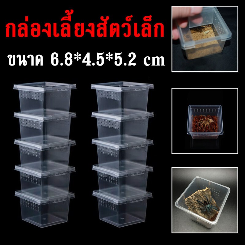 Reptile Boxกล่องเลี้ยงสัตว์เล็กฮอร์นฟรอกสัตว์เลื้อยคลานผสมพันธุ์สดกล่องแมงมุมตุ๊กแกแมงป่องชุด10กล่อง