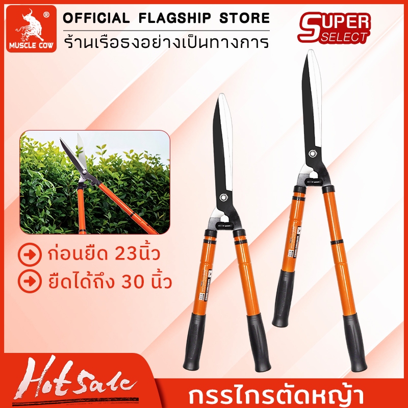 MUSCLE COW กรรไกรตัดหญ้า สามารถยืดได้หดได้ ด้ามเหล็กหุ้มพลาสติก เหมาะสำหรับตัดกิ่งที่สูง กรรไกรตัดกิ่ง กรรไกรตัดต้นไม้