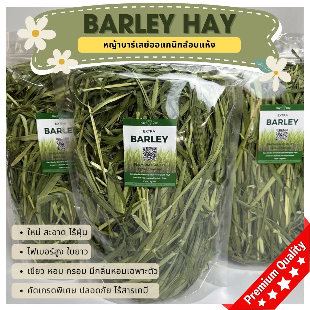 🔹หญ้าบาร์เลย์🔹 Barley อบลมร้อน ก้านสั้น ก้านยาว ไร้ฝุ่น อบใหม่ เขียว หอม ใบเยอะ หญ้ากระต่ายอบแห้ง คัดเกรดพรีเมี่ยม