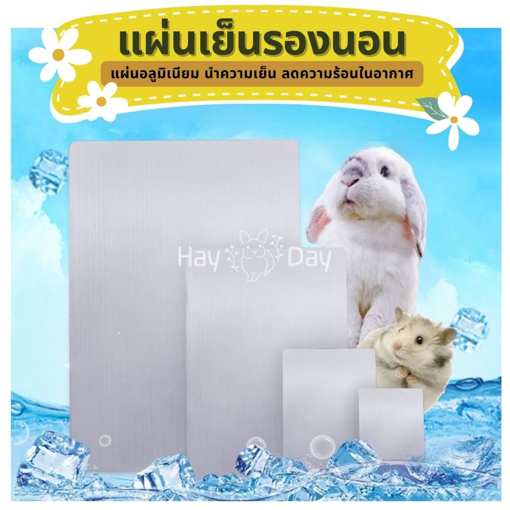 แผ่นเย็นกระต่าย แผ่นเย็นอลูมิเนียม แผ่นรองนอนระบายความร้อน สำหรับสัตว์ฟันแทะ