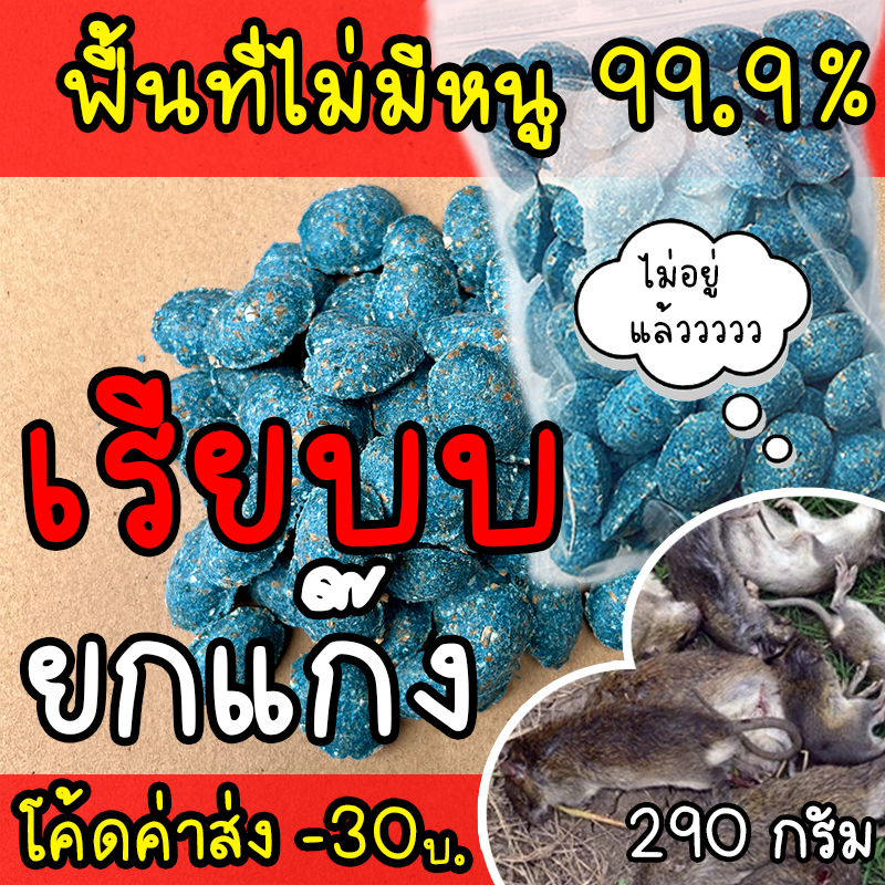 ยาเบื่อหนู (พร้อมส่ง) เหยื่อกำจัดหนู หนูชอบมากกก ตายแห้ง ยาฆ่าหนู 290g (ตายไม่มีกลิ่น) สำเร็จรูป