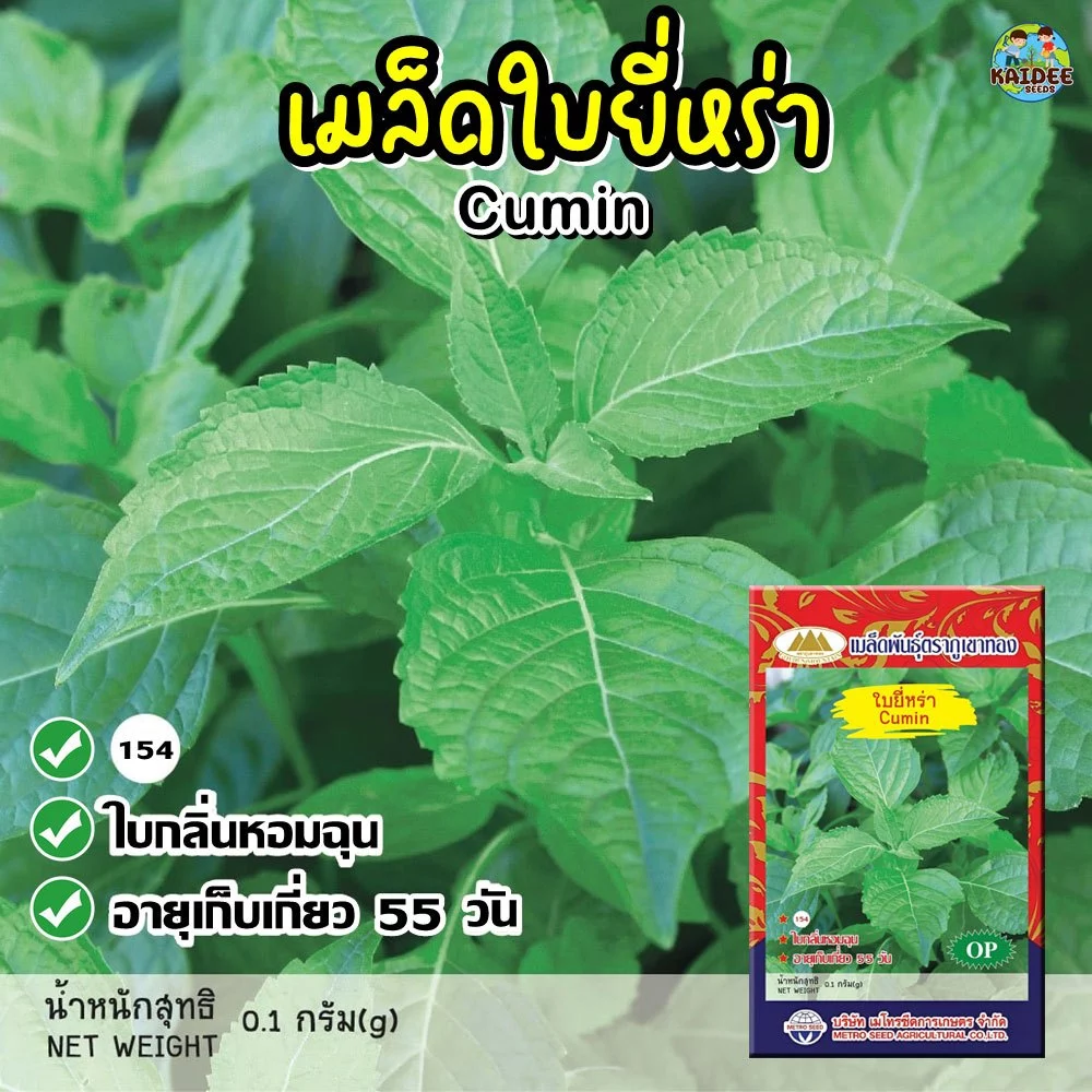 เมล็ดใบยี่หร่า Cumin ตราภูเขาทอง เมล็ดพันธุ์ใบยี่หร่า เมล็ดยี่หร่า เมล็ดพันธุ์ยี่หร่า เมล็ดผัก