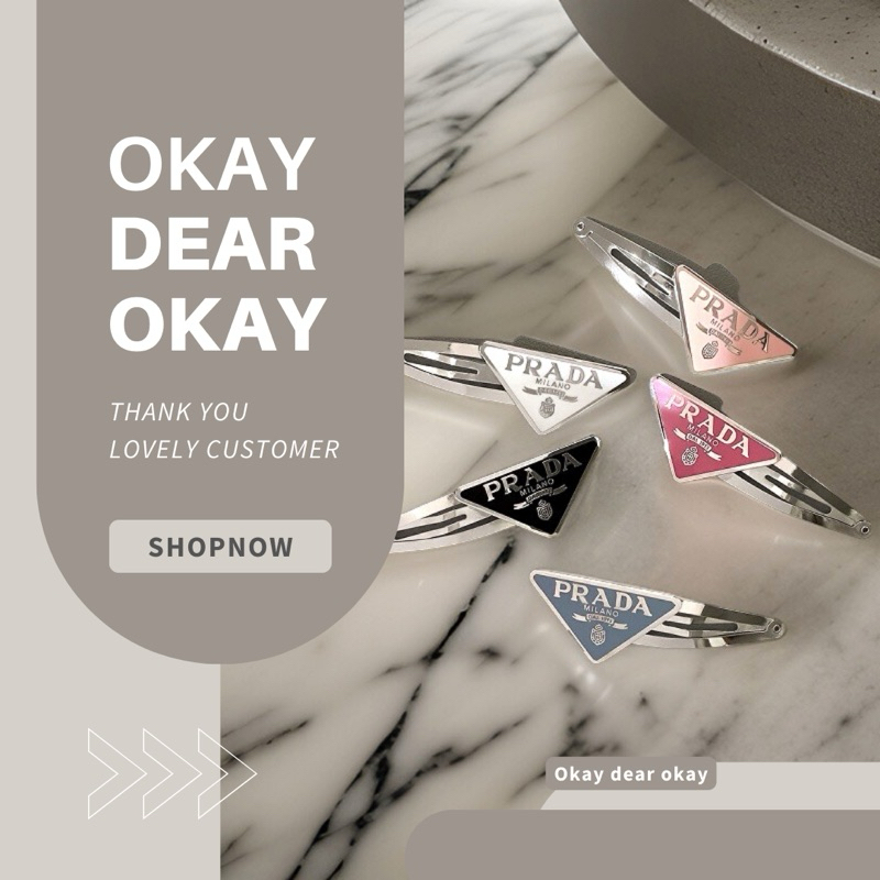 พร้อมส่ง 𝐇𝐚𝐢𝐫 𝐂𝐥𝐢𝐩𝐬 | กิ๊บติดผม กิ๊บPRDโลหะ กิ๊บแปะแฟชั่นแบรนด์เนม รุ่นใหม่