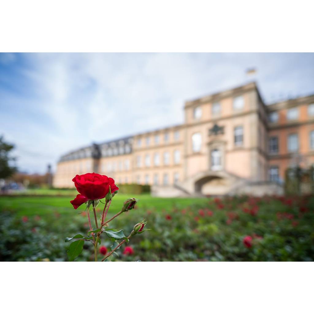 รูปภาพ 6