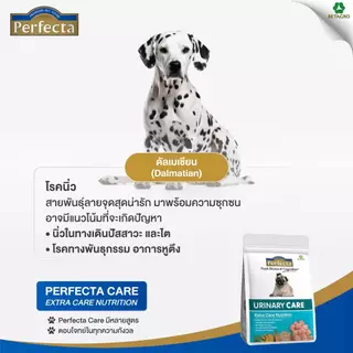 เพอร์เฟคต้า อาหารเม็ดสุนัข PERFECTA CARE DOG 1.5 kg
