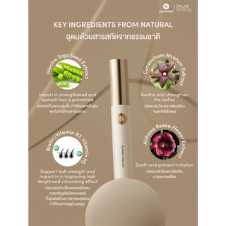 SUPERMOM l EYELASH AMPOULE เซรั่มบำรุงขนคิ้วและขนตา