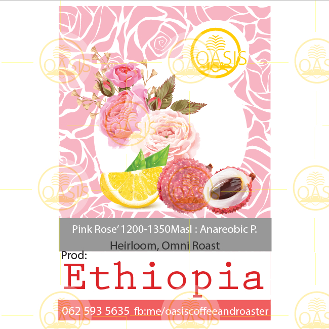 Oasis Coffee&Roaster Ethiopia Pink Rose' Omni Roast
