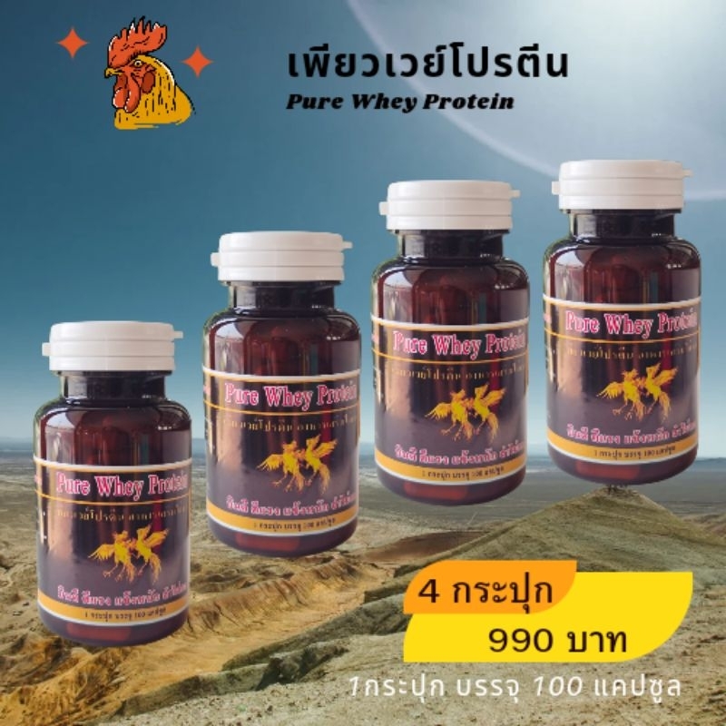 เพียวเวย์โปรตีน อาหารเสริมไก่ชน สุดขายดี 4 กระปุก 400 แคปซูล ราคา 990 บาท