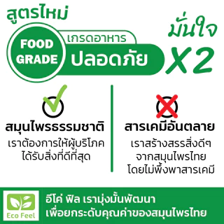 Eco Feel สเปรย์สมุนไพรไล่ยุง Organic100% 250ml ปลอดภัยต่อผู้ใช้สัตว์เลี้ยง Mosquito repellent