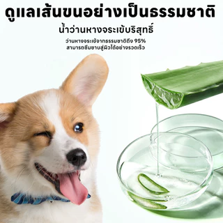 yoyopet : Aloe Vera Pet Wipesทิชชู่เปียกสำหรับสัตว์เลี้ยง กลิ่นว่านหางจระเข้ เพิ่มความชุ่มชื้น