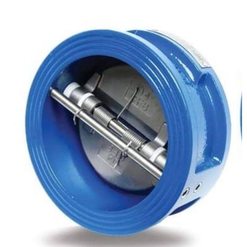 Dual plate wafer check valve Cast iron 8"