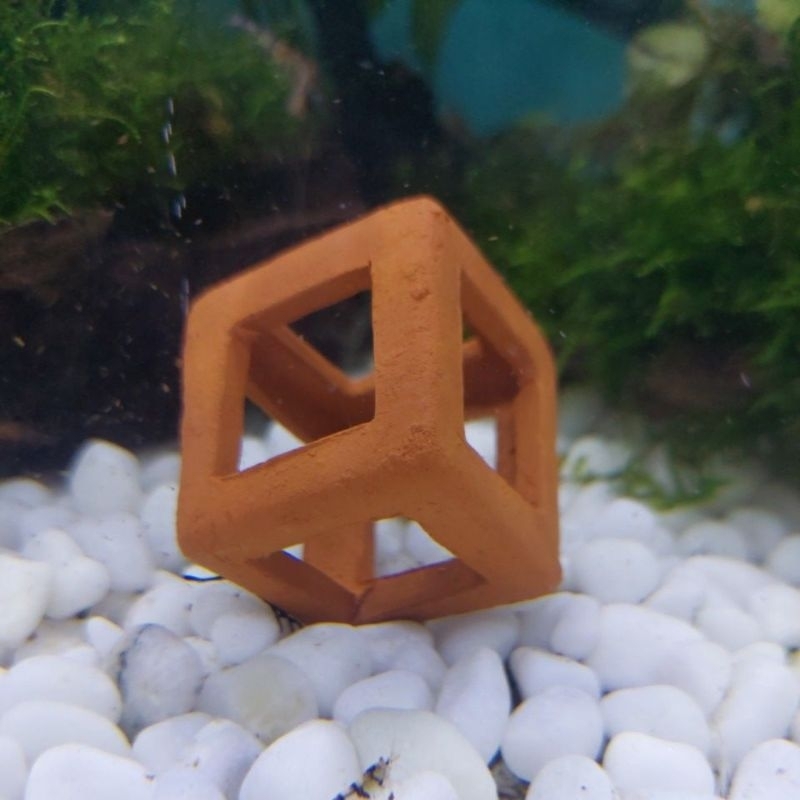 ดินเผาบ้านกุ้งแคระ ทรงลูกเต๋า  ขนาด 1.5x1.5 นิ้ว