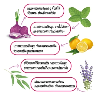 Baby Best แผ่นแปะหัวหอม ซองละ 16 ชิ้น สติ๊กเกอร์หัวหอม สำหรับเด็ก