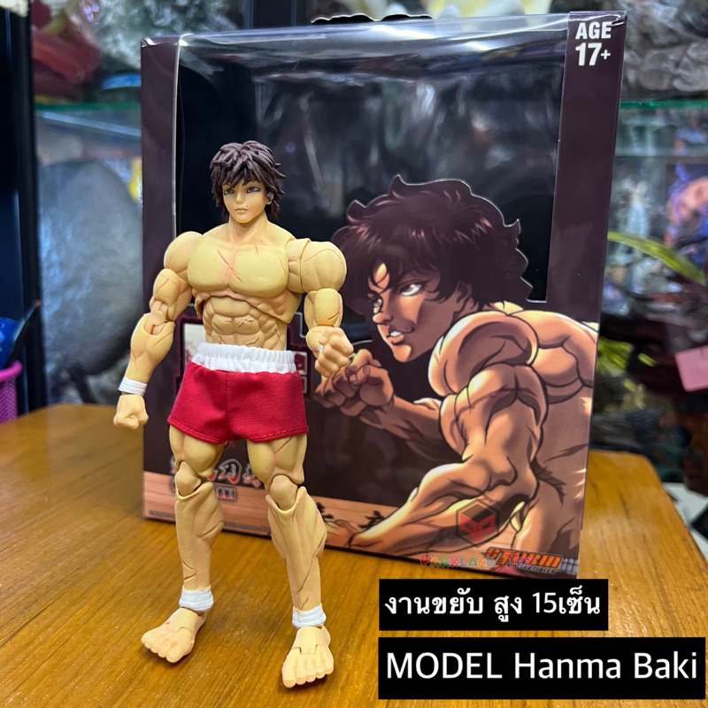โมเดล ฮันมะ บากิ 🔥งานจุดขยับ ข้อต่อดีมาก🔥 สูง 15เซ็น Model Hanma Baki tall 15CM