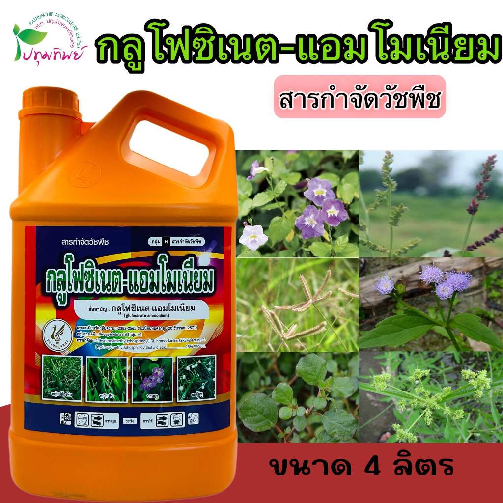 กลูโฟซิเนต-แอมโมเนียม ขนาด 4 ลิตร สารกำจัดวัชพืชใบแคบ ใบกว้าง และกก