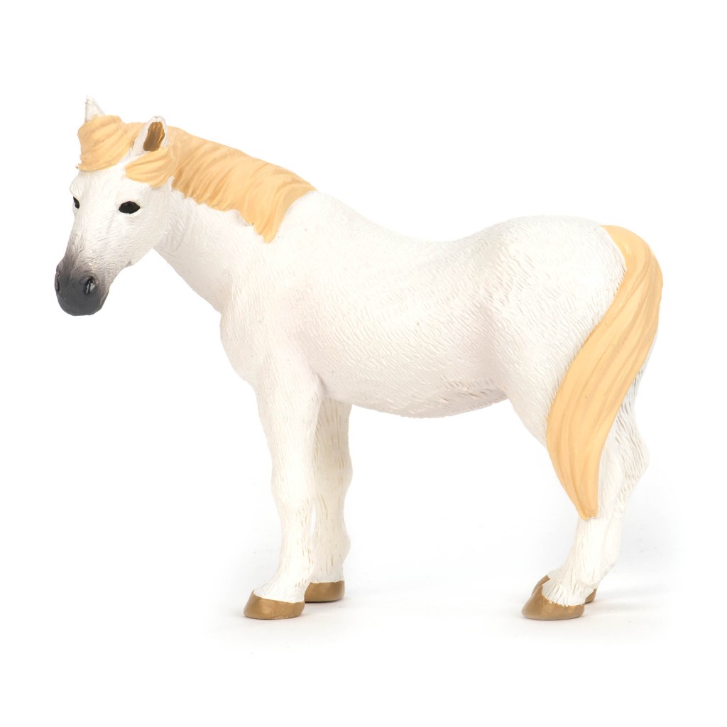 Terra ICELANDIC - AN2721Z