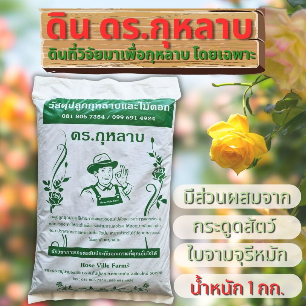 ดินกุหลาบ ดร.กุหลาบ ดินที่ผ่านการวิจัยมาเพื่อกุหลาบโดยเฉพาะ 1 ถุง หนัก 1 กก. ดีที่สุด สำหรับไม้ดอก