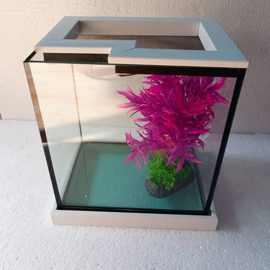 ตู้เลี้ยงปลาขนาด (กxยxส) 6x8x8 พร้อมฝาฐาน พร้อมอุปกรณ์ตกแต่ง