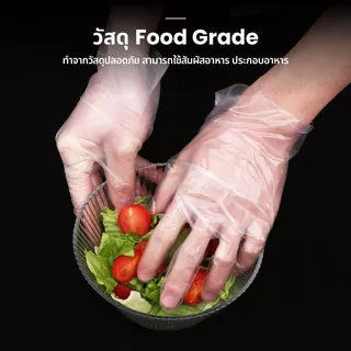Vimall ถุงมือทำอาหาร TPE อเนกประสงค์ ใช้แล้วทิ้ง เหนียว ไม่ขาดง่าย 100 ชิ้น/กล่อง Food Grade