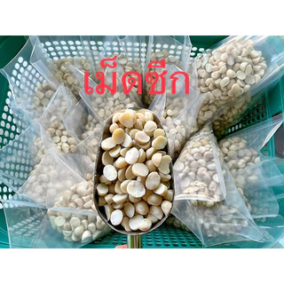 แมคคาเดเมีย(ซีกสวย)กรอบมันอร่อย 100กรัม